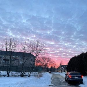 Meet your Posher, Shani